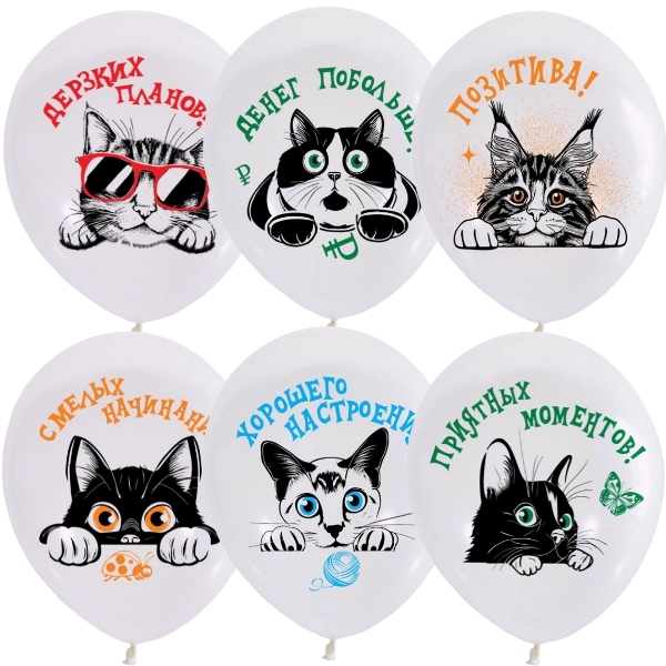 Шар Коты Пожелания, Дерзких планов